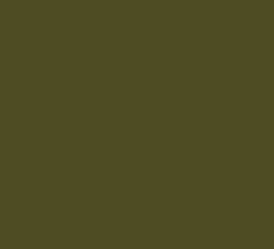 Picture of AFV Series: Russian Green 4BO Acrylic Paint 17ml Bottle