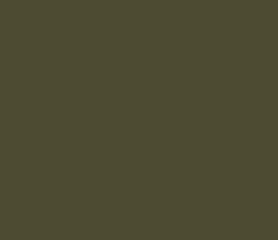 Picture of AFV Series: SCC No15 Olive Drab Acrylic Paint 17ml Bottle