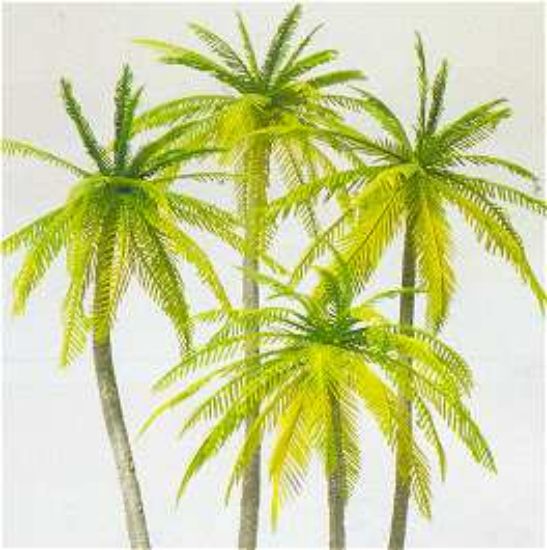 Picture of HO Palm Trees (4) (Kit)