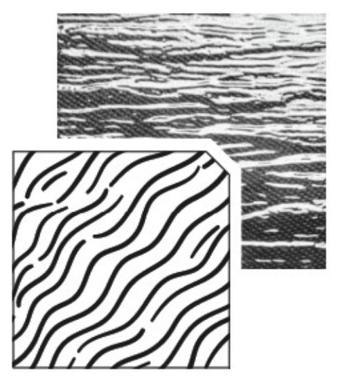 Picture of Transparent Running Water Styrene Sheet 9.64"x7.68"