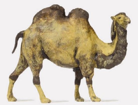 Picture of HO Camel