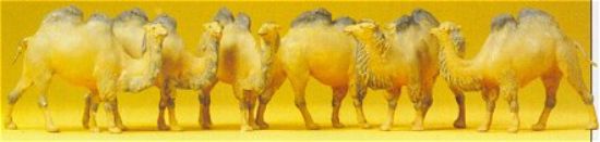 Picture of Preiser kg Camels - Bactrian 2-Humps (6) -- Model Railroad Figures