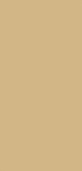 Picture of Wooden Deck Tan Mini Acrylic Matte Finish (6/Bx)