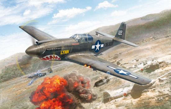 Picture of 1/72 P51A Mustang Aircraft