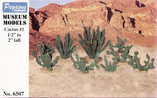 Picture of Cactus 1/2"-2" (18)