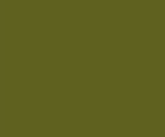 Picture of AFV Series: NÂº1 Light Green FS34151 Acrylic Paint 17ml Bottle