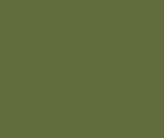 Picture of AFV Series: Reseda Green RAL6011 Acrylic Paint 17ml Bottle