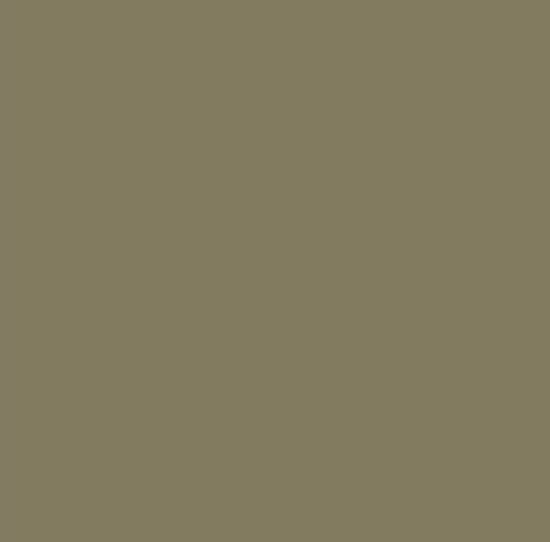 Picture of AFV Series: Grey RAL7027 Acrylic Paint 17ml Bottle