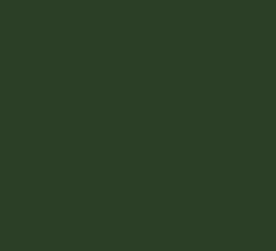 Picture of AFV Series: NATO Green Acrylic Paint 17ml Bottle