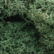Picture of Woodland Scenics L162 Light Green Lichen