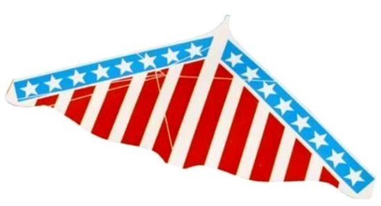 Picture of 48"x31" American Master Stunt Kite