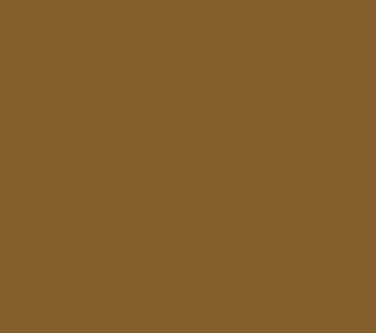 Picture of AFV Series: SCC No2 Brown Acrylic Paint 17ml Bottle