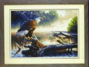 Picture of Paint Works Paint By Number Kit 20"X14" Eagle Hunter