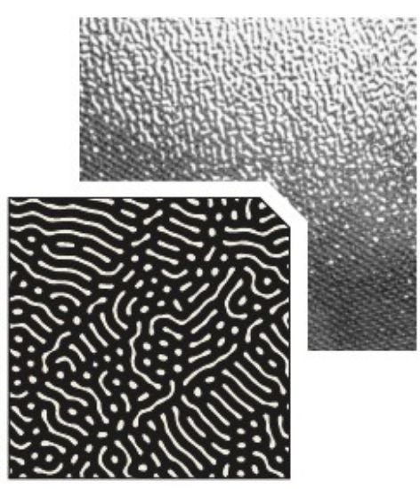 Picture of Transparent Fine Water Styrene Sheet 9.64"x7.68"