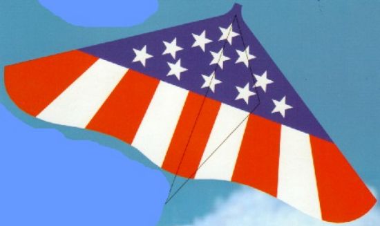 Picture of 42"x22" Spirit of America Delta Wing Kite