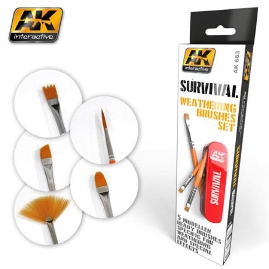 Picture of Survival Weathering Brushes Set (5 different)