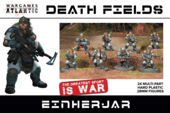 Picture of 28mm Death Fields Einherjar (24)