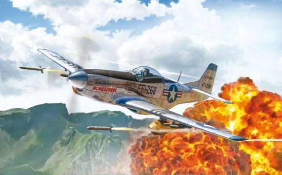 Picture of 1/72 F51D Mustang Fighter Korean War