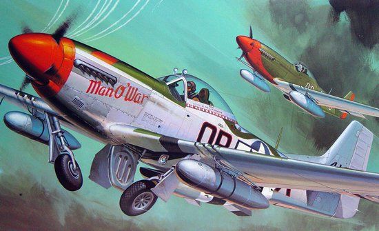 Picture of Hasegawa - 08055 1/32 P-51D Mustang - Plastic Model