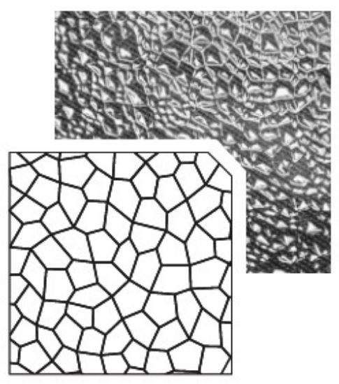 Picture of Transparent Still Water Styrene Sheet 9.64"x7.68"