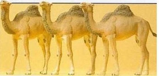 Picture of Preiser 20397 Camels