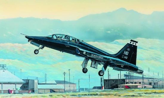 Picture of Trumpeter 1/48 USAF T-38A Talon Jet Trainer 2852