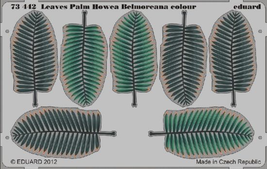 Picture of Leaves Palm Howea Belmoreana Colour- 1:72 -Eduard