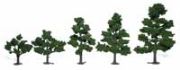 Picture of Woodland Scenics TR1112 Realistic Tree Kit with 6 Trees