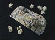 Picture of Rock Mold Classic