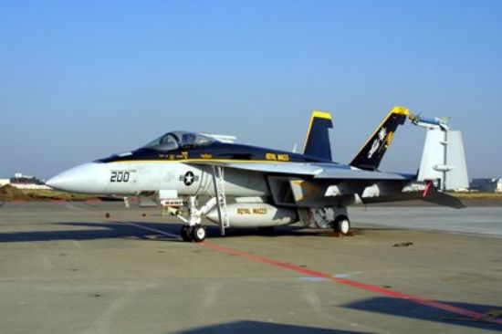Picture of Hasegawa 07239 F/A-18E Super Hornet USN