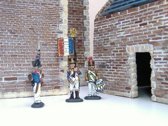 Picture of 1/72 French Line Infantry 1815 (42) (D)