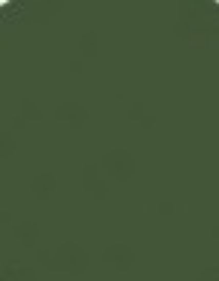 Picture of Dark Green 2 (RAF) Mini Acrylic Matte Finish (6/Bx)
