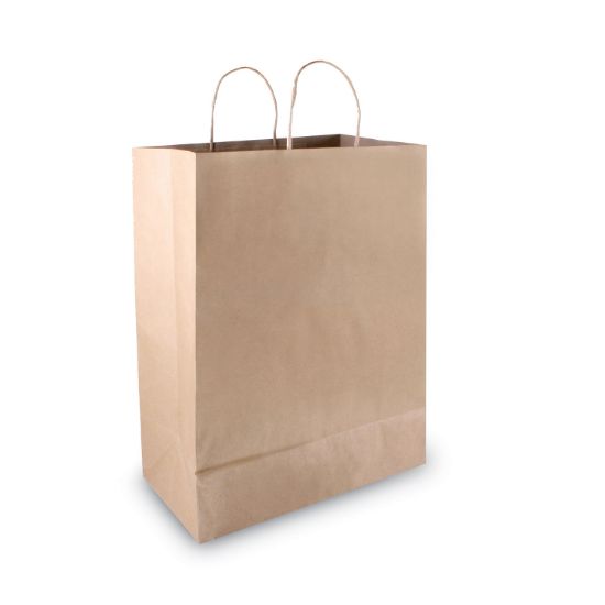 Picture of COSCO Premium Large Brown Paper Shopping Bag, 50/Box