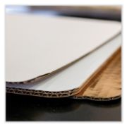 Picture of PAD WHITE 19X14  CORR GR EASPROOF 50/PACK
