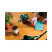 Picture of Post-it® Notes Original Pads in Marseille Colors, Lined, 4 x 6, 100-Sheet, 5/Pack