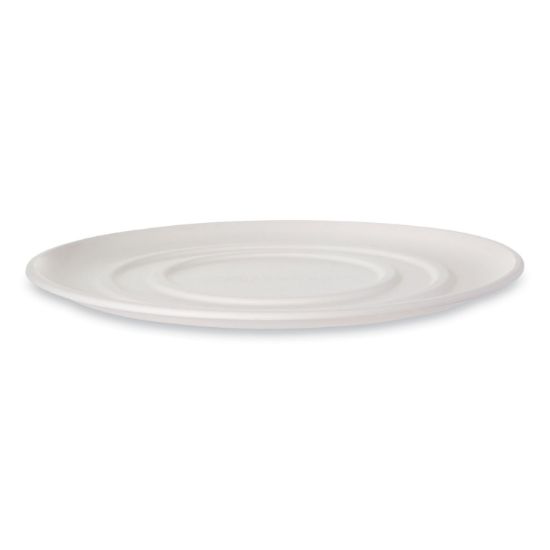 Picture of WORLDVIEW SUGARCANE PIZZA TRAYS, 16 X 16 X 02, WHITE, 50/CARTON