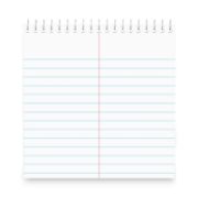 Picture of Steno Book, Gregg Rule, 6 x 9, White, 80 Sheets