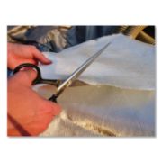 Picture of Clauss® Hot Forged Carbon Steel Shears, 9" Long, Black