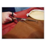 Picture of Clauss® Hot Forged Carbon Steel Shears, 9" Long, Black