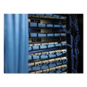 Picture of Velcro® Reusable Self-Gripping Ties, 1/2 x Eight Inches, Black/Gray, 50 Ties/Pack