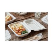 Picture of VENTED MICROWAVABLE HINGED-LID TAKEOUT CONTAINER, 9 X 6 X 2.75, WHITE, 170/CARTO